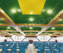 آهن آلات ایمان ورق دامپا رنگی پوششی مناسب برای سقف داخلی سالن های بزرگ